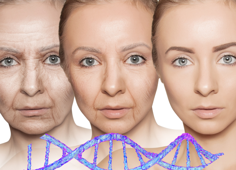 Wie Insulinresistenz das biologische Altern beschleunigt – und wie Hypnose helfen kann