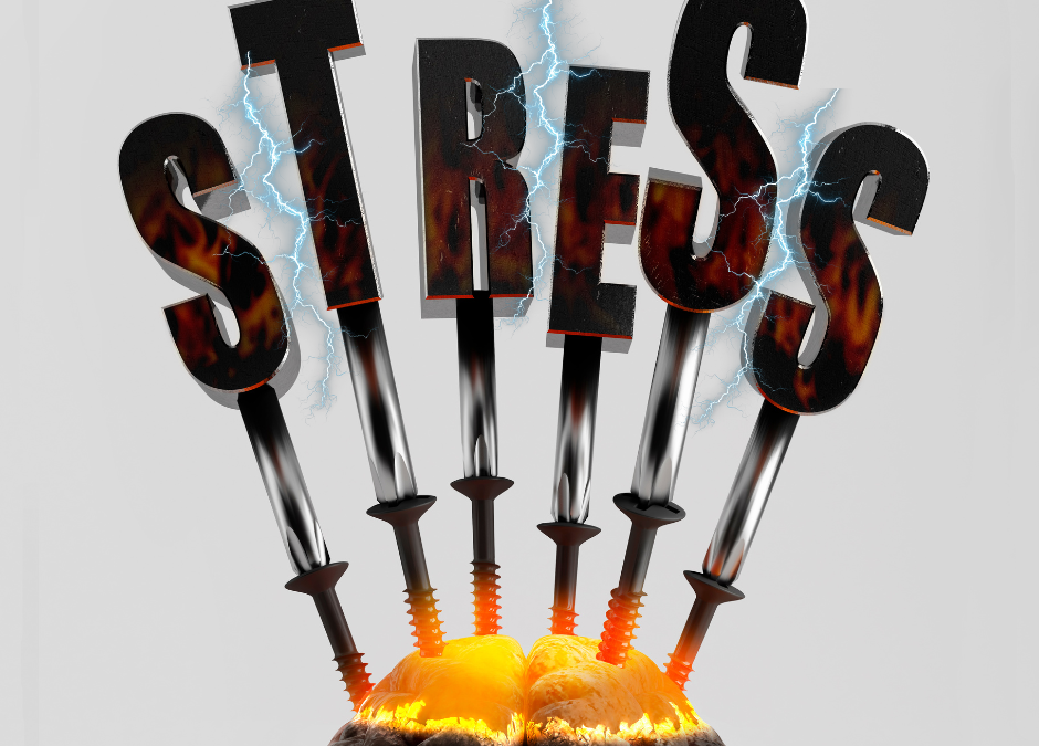 Stress – Ein stiller Feind in unserem Alltag: Wie chronischer Stress deine Gesundheit zerstört