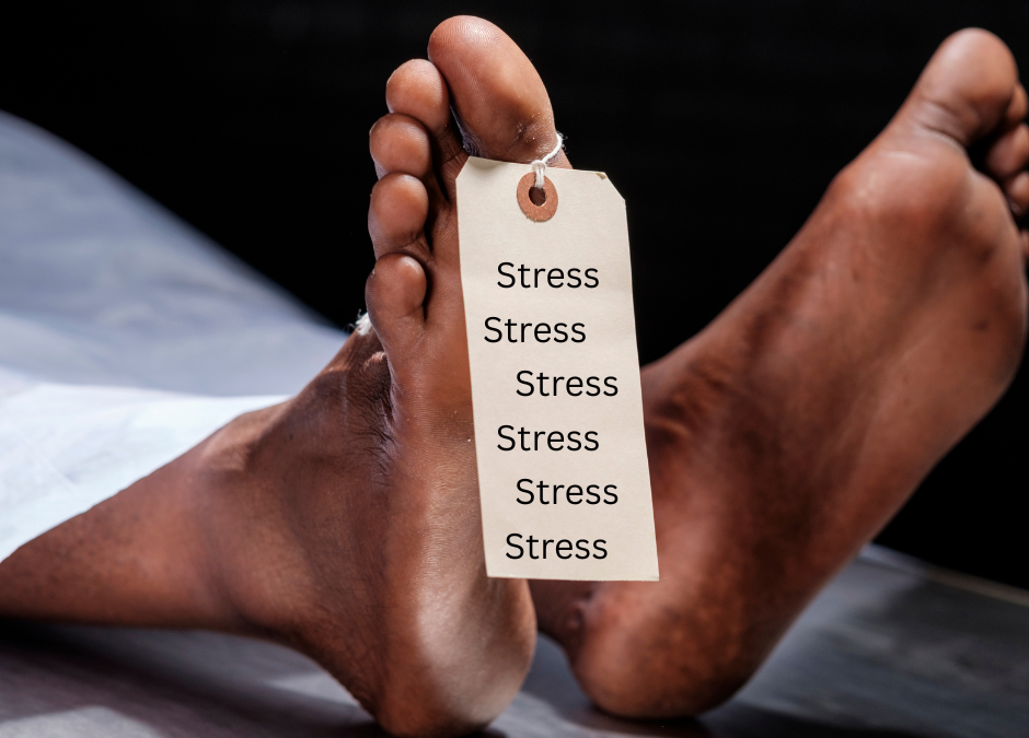 Stress – Der gefährliche Killer: Ursachen, Folgen & Hypnose als Lösung für ein stressfreies Leben