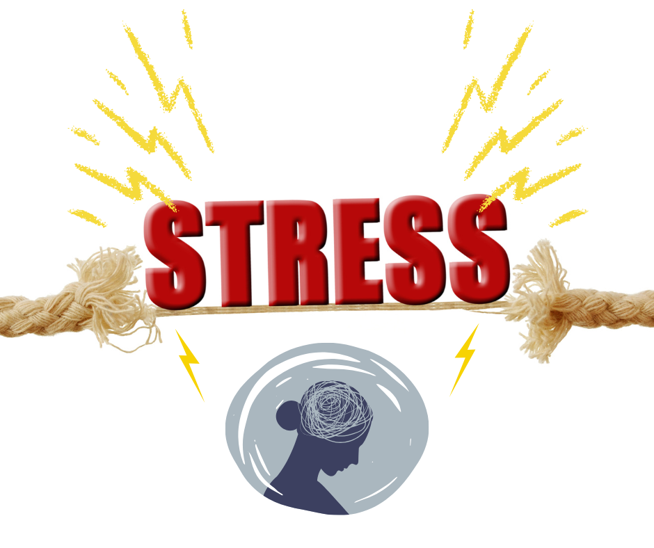 Illustration zum Thema chronischer Stress: Das rote Wort STRESS lastet auf einem reißenden Seil über der Silhouette einer Frau mit einem Gedankenkarussell im Kopf.